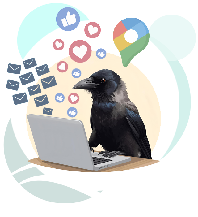 graphic of a crow working on Digital Marketing Services for CT professionals